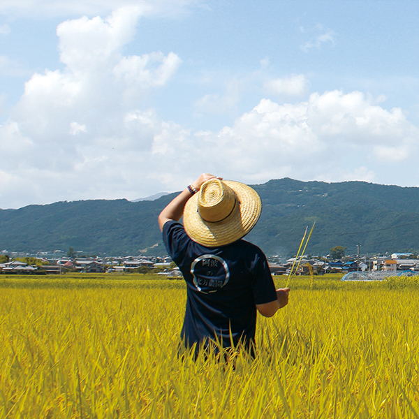 阿波の北方地方