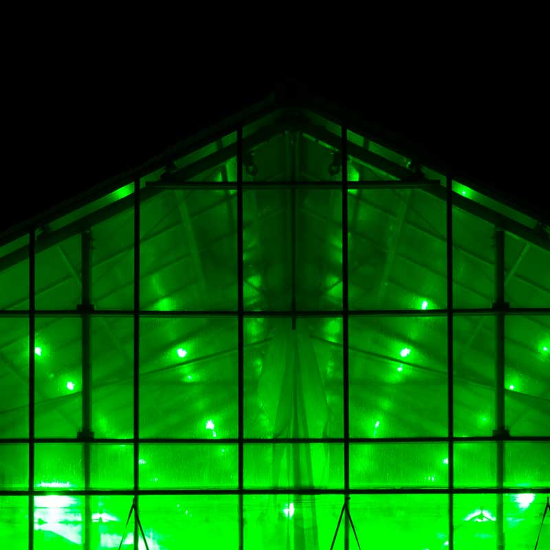 緑色LED照射ハウス