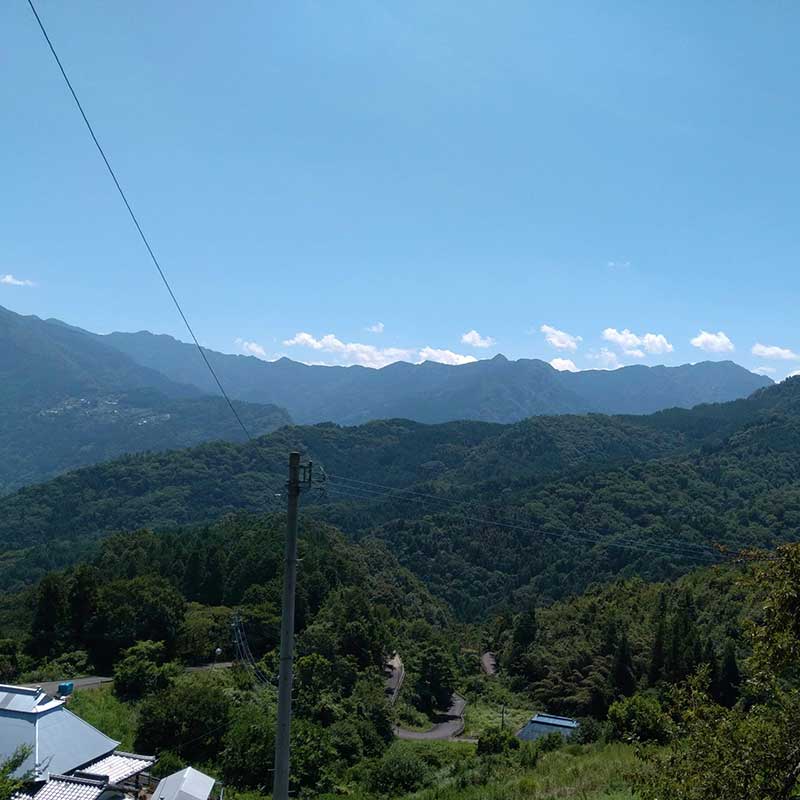 夏山