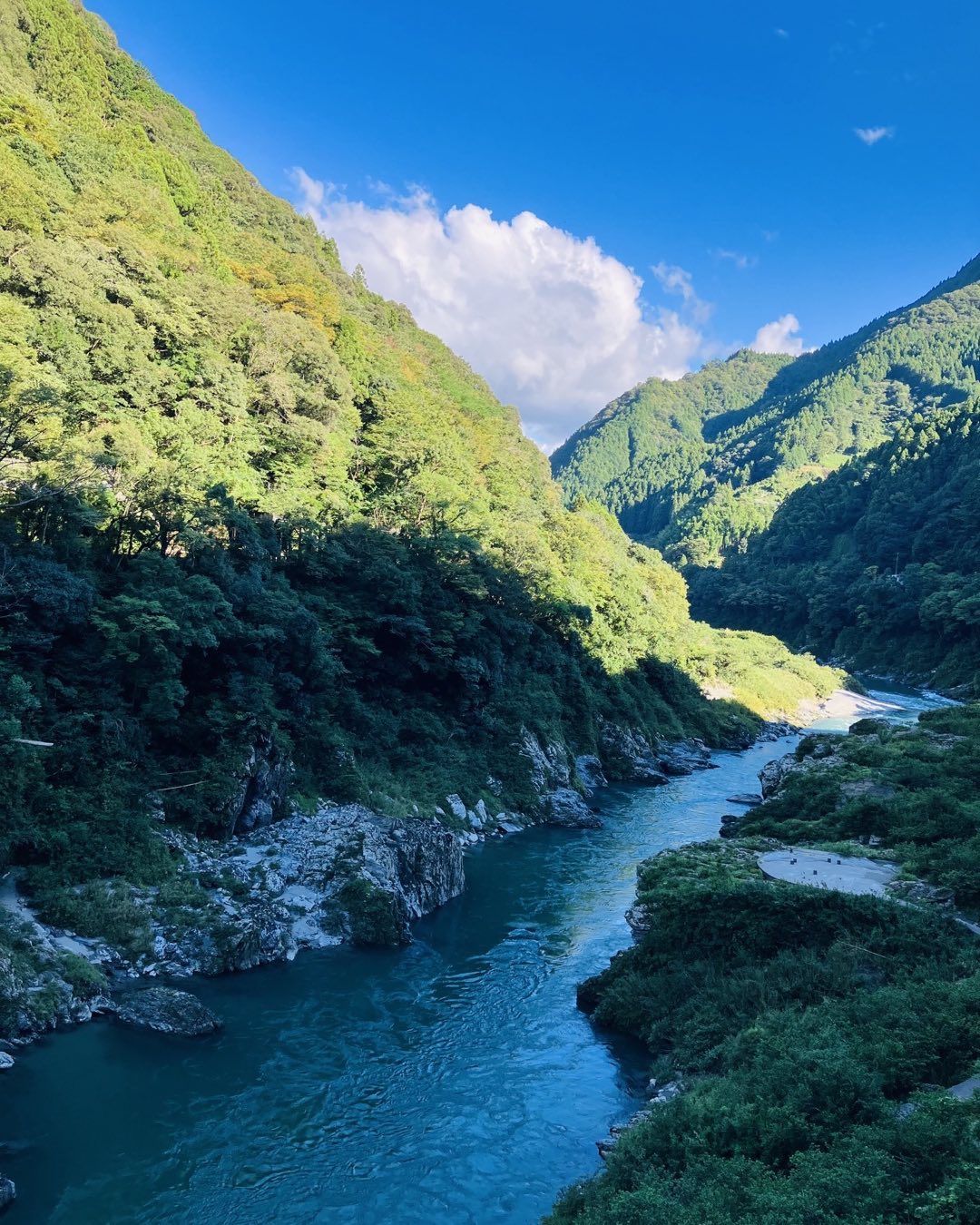 徳島大歩危
